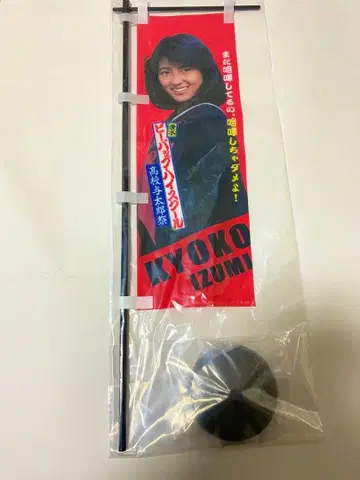 비밥 하이스쿨 나카야마 미호 미니 깃발