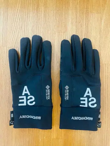 WIND AND SEA 고어텍스 장갑