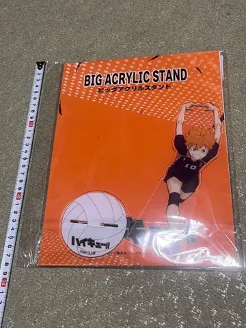 하이큐!! 빅 아크릴 스탠드