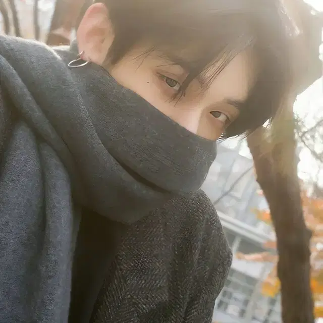 개봉앨범 다 줌