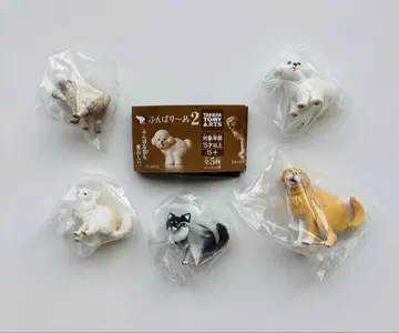 [ 5종 세트 ] 펀바리누 2 시크릿 없음