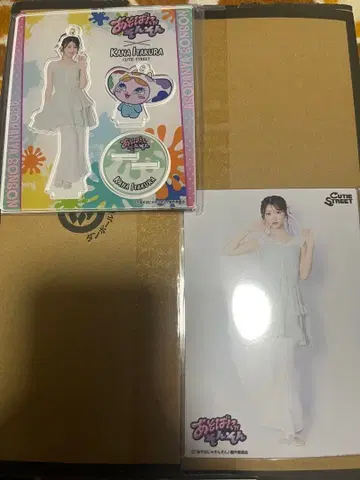 이타쿠라 카나 아소바냐손손