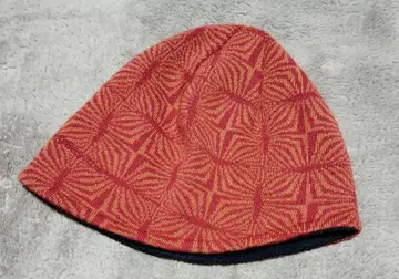 파타고니아 patagonia 비니