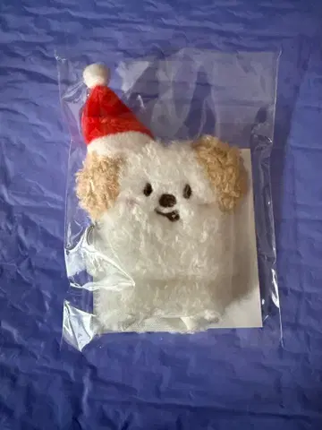 RIIZE 109 POPUP 앤톤 손가락 인형 키링 봉제 인형