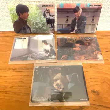 윈드브레이커 오프샷 트레이딩 카드 사쿠라 하루카 미즈카미 코지