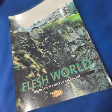 FLESH WORLD vol.1 데이비드 린치 트윈 픽스 레어