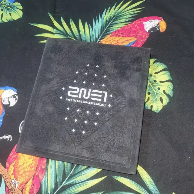 투애니원 1st live 놀자 실황 앨범 2NE1.