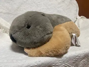 마모트 봉제 인형 페탄