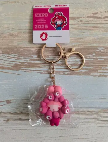 미야쿠미야쿠 변신 마스코트 마이멜로디 산리오 최애 컬러