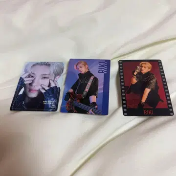 마츠이 리키 트레이딩 카드 3장 세트