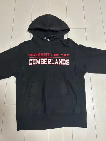 Champion 리버스 위브 S