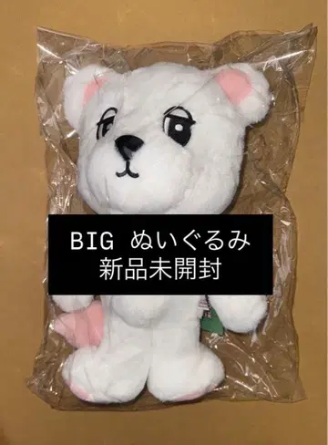 욱동 이동욱 2025 한국 팝업 빅 봉제 인형