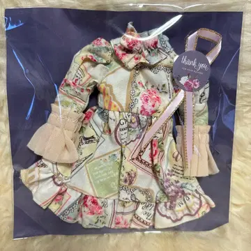 브라이스, 작가님 아웃핏 미사용