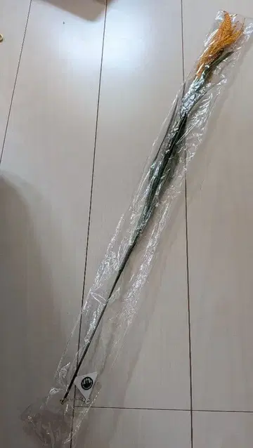 렉시 이나호 이나호 빛나지 않음