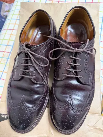 알든 다크 브라운 윙 팁 가죽 신발 사이즈 6 하프