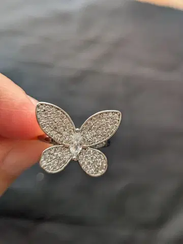 파피용 반지 13호