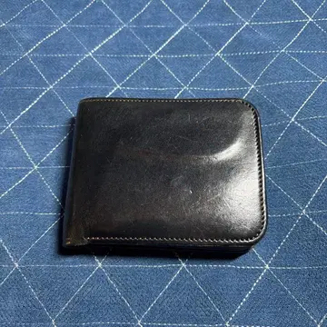 와일드 스완스 플리커 2