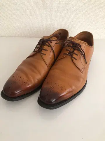 스코치 그레인 그라데이션 26