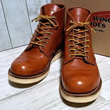 레드윙 8166 아이리쉬 세터 US8D 26cm