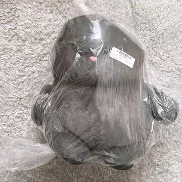 FAT CAT 폭신폭신 봉제 인형 고양이