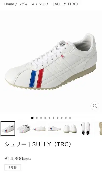 슐리 | SULLY (TRC) 39