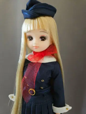 리카짱 캐슬 / 리카짱 본체 + 의류 포함