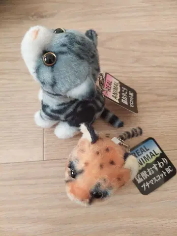 리얼 애니멀 고양이와 호랑이 봉제 인형 세트
