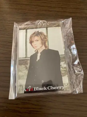 Acid Black Cherry 언제나 함께 두 개 세트 키링