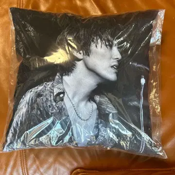 OZAKI 30 LAST STAGE 쿠션