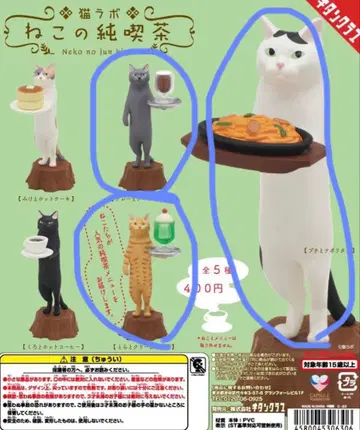 고양이 순수 카페 3종 세트