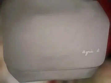 애니에스 베이 실버 파우치