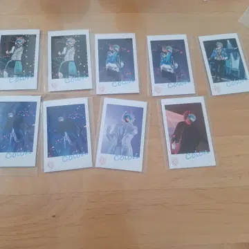 스토푸리 코론 군의 실사 폴라로이드