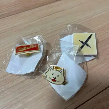 BUMP OF CHICKEN 니콜 핑 핀 배지 세트