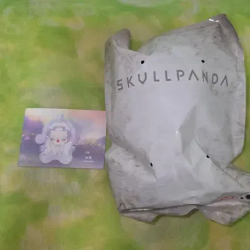 SKULLPANDA(스컬팬더) Limpressionnisme 환제