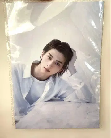 요코하마 류세이 사진