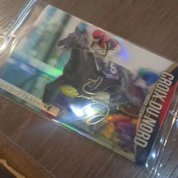 크루아 뒤 노르 금박 사인 서러브레드 웨하스 덤 포함