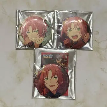 앙스타 캔뱃지 츠키나가 레오