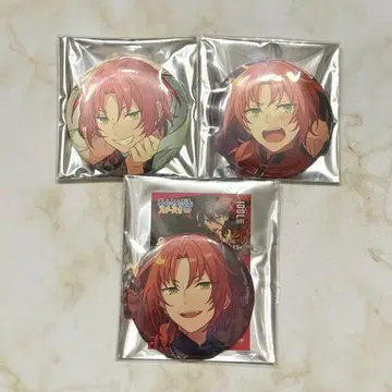 앙스타 캔뱃지 츠키나가 레오