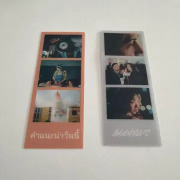 이혼 전설 포토그레이 사라맛포 오늘의 추천 2종 세트