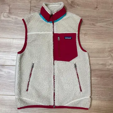 Patagonia 남성용 베스트 XS
