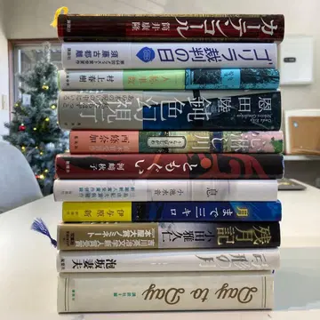 서적 11권 세트 화제 소설 묶음 판매 251223-2