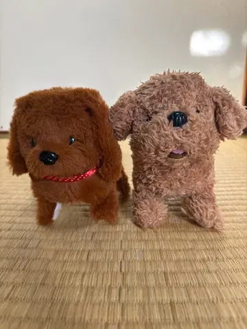 토이 푸들 봉제 인형 2개 세트