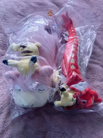 야돈&피카츄 카가와 빨간색 갸라도스와 피카츄 히로시마 봉제 인형