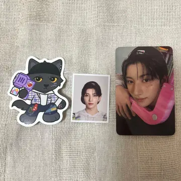 NEXZ 시그리 유우