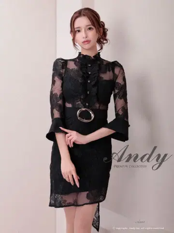 레이스 타이트 드레스 블랙 Andy