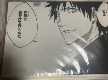 [새상품] BLEACH 원화전 시바 카이엔 클리어 파일 무결의 끝 A