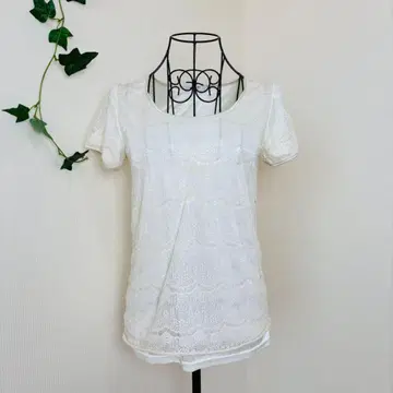 Natural Beauty Basic 전체 레이스 반팔 티셔츠 화이트