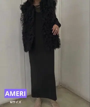 [ AMERI ] 아메리 튤 베스트 세트 드레스 블랙