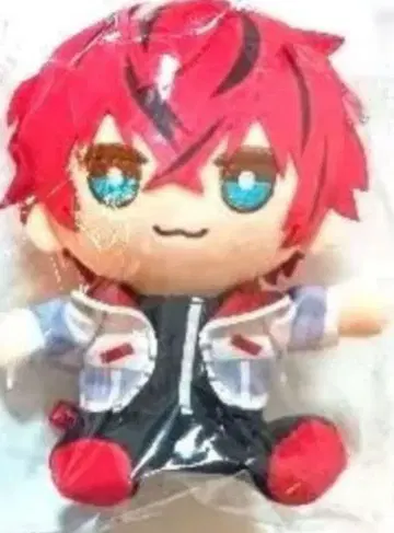 [ 미개봉 ] 꼬리풀 앉은 봉제 인형 로제 1주년 기념