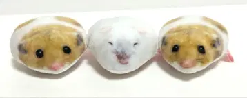 쫄깃한 햄스터 봉제 인형 마스코트 쫀득한 동물